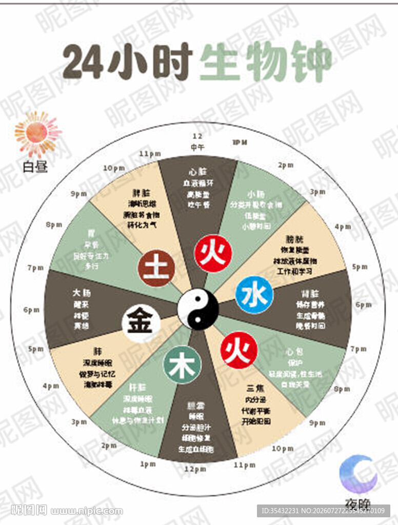 24小时生物钟示意图