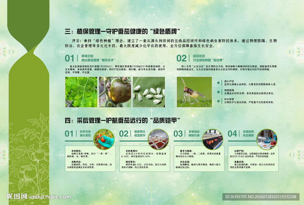 绿色清新产品信息展示页