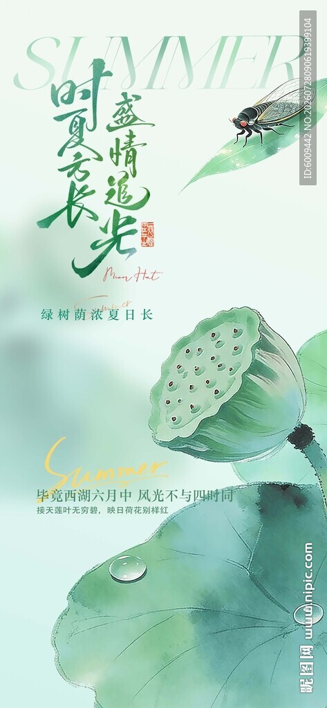 水墨风荷叶蜻蜓插画