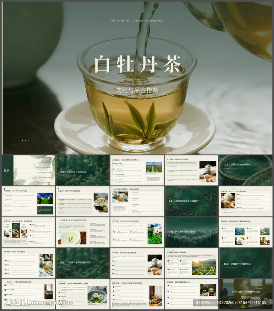 白牡丹茶文化与品鉴指南ppt