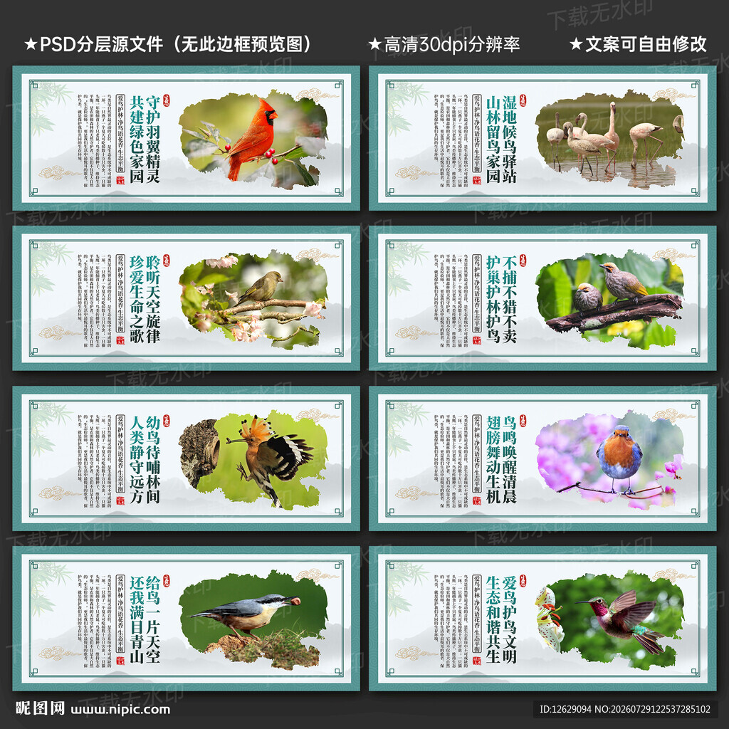 保护鸟类