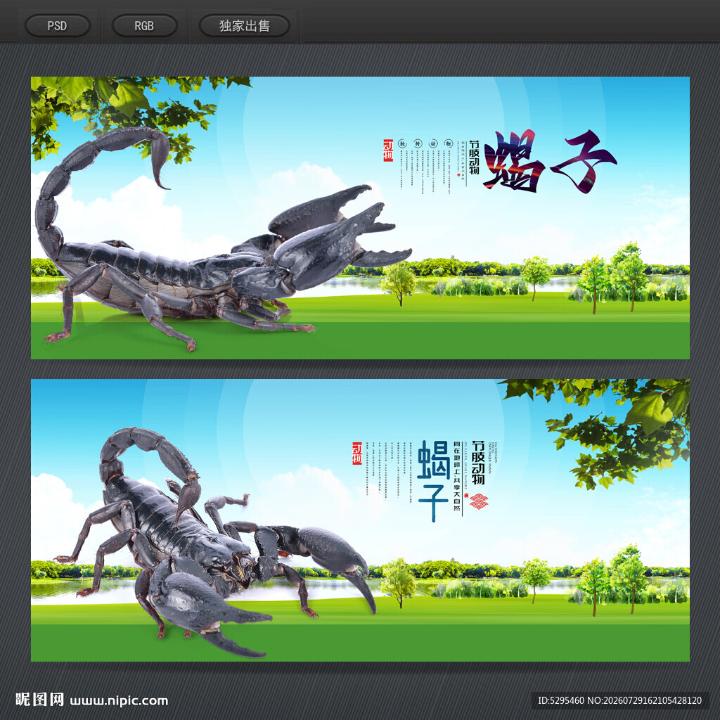 蝎子