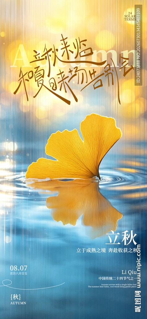 秋日水面漂浮的黄色花瓣