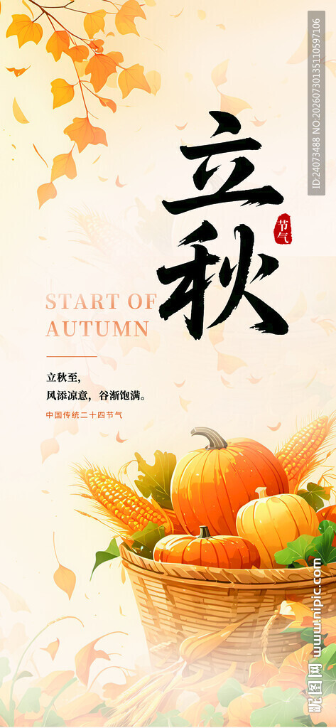 立秋时节的丰收果蔬