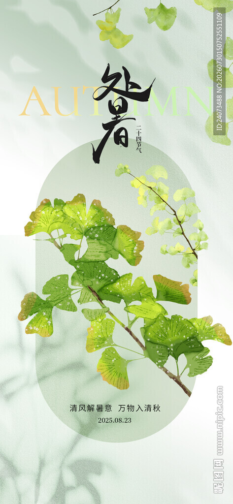 清新银杏叶插画艺术作品