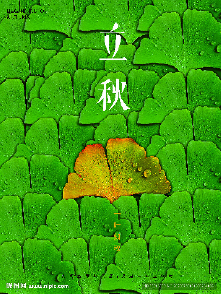 立秋海报