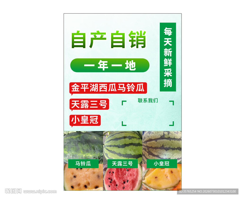自产自销马铃瓜小黄冠西瓜天露