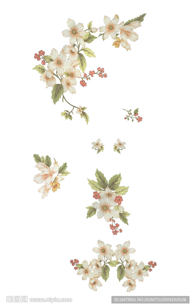 精致手绘花卉装饰元素