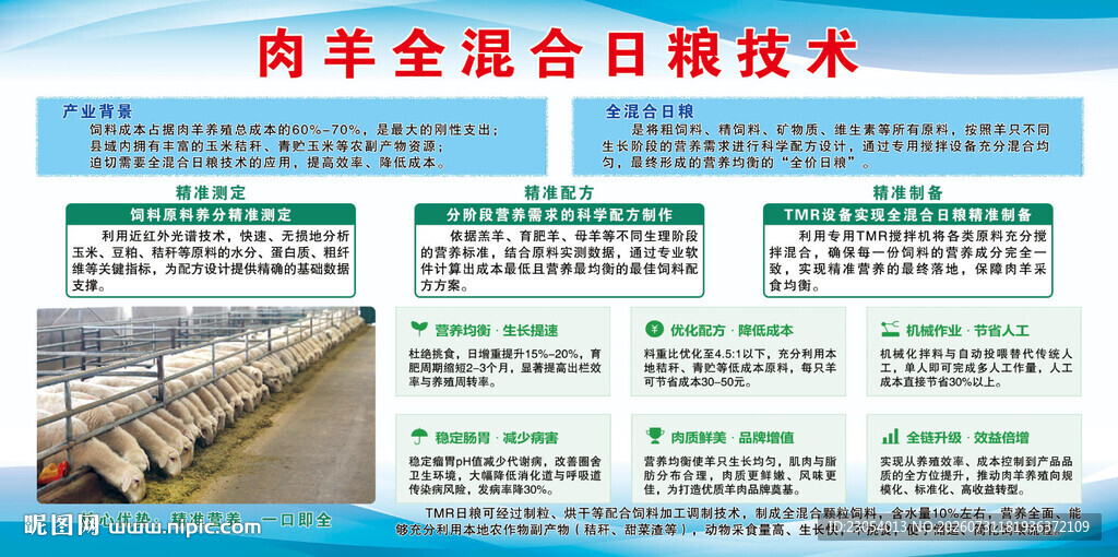肉羊全混合日粮技术介绍