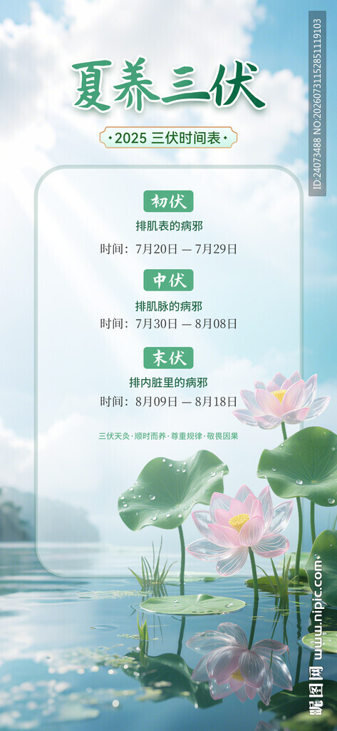 夏日荷花主题手机界面展示