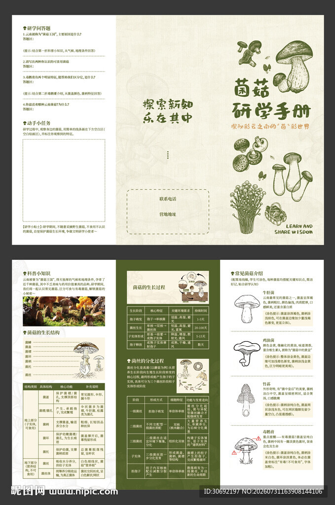 野生菌研学三折页
