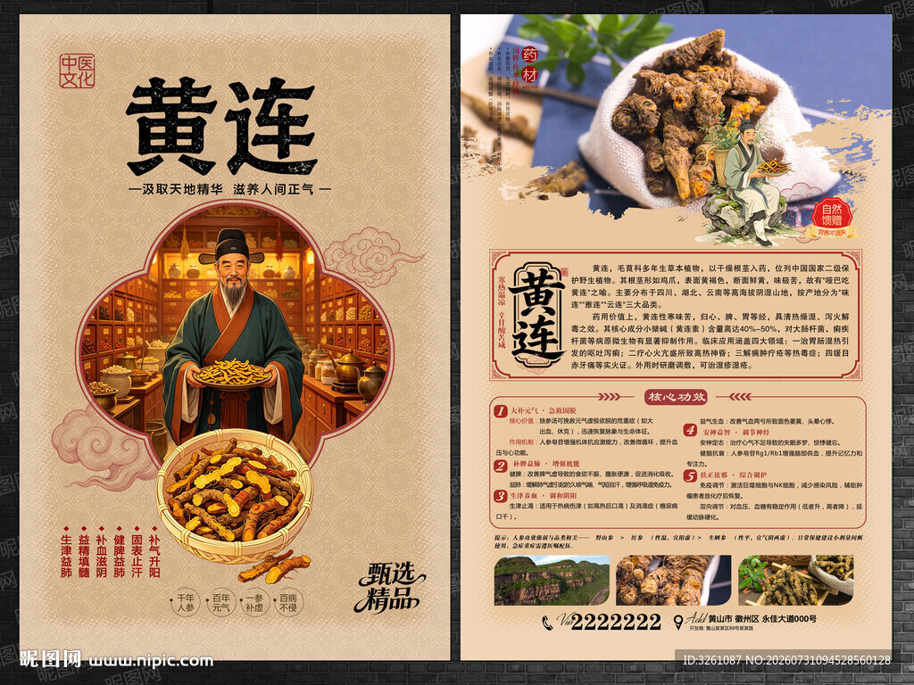 黄连