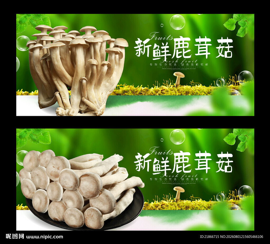 鹿茸菇