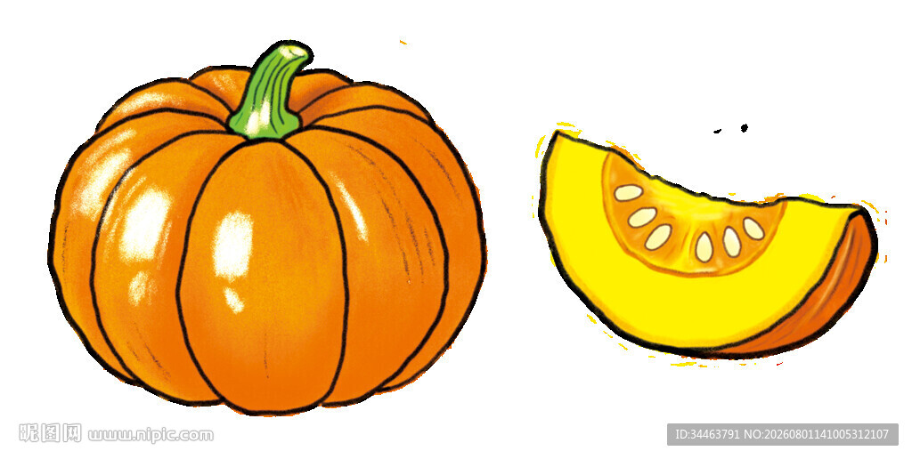 南瓜插画