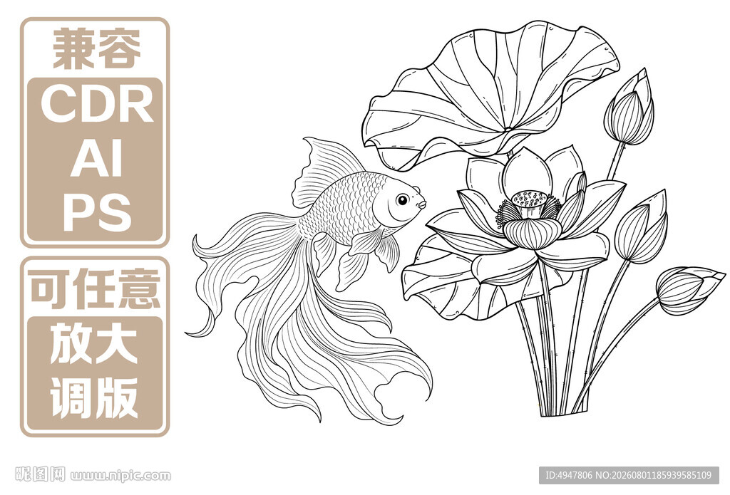 金鱼与荷花线描插画 矢量