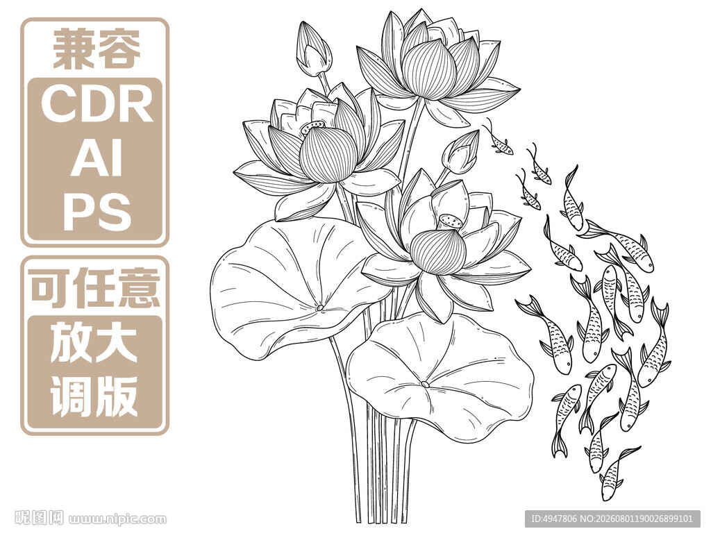 手绘荷花矢量插画 矢量