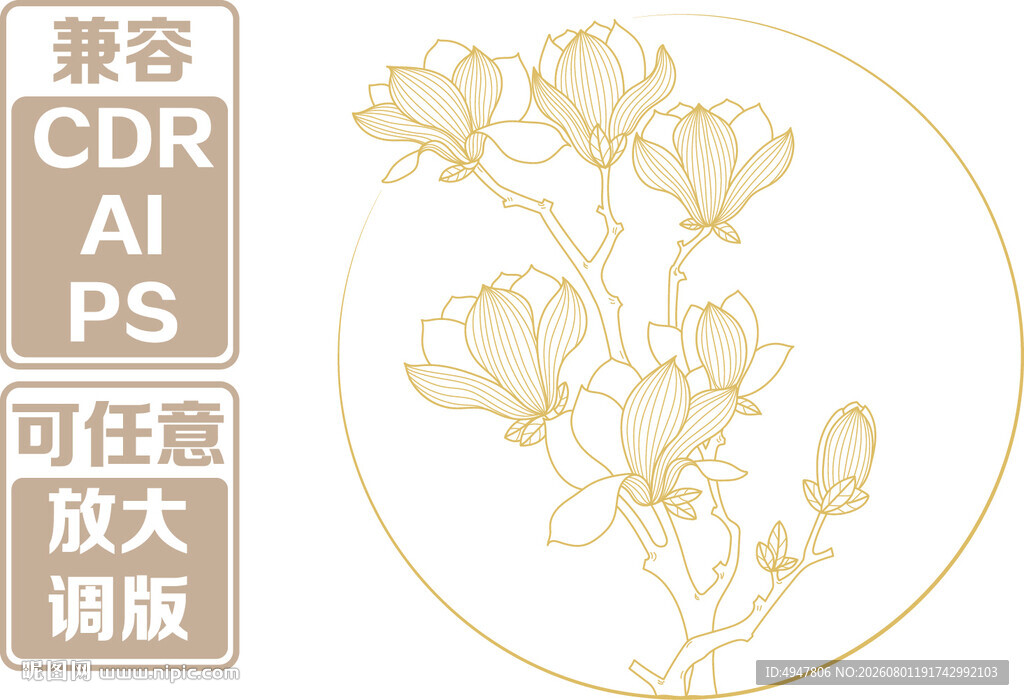 手绘玉兰花 矢量插画素材