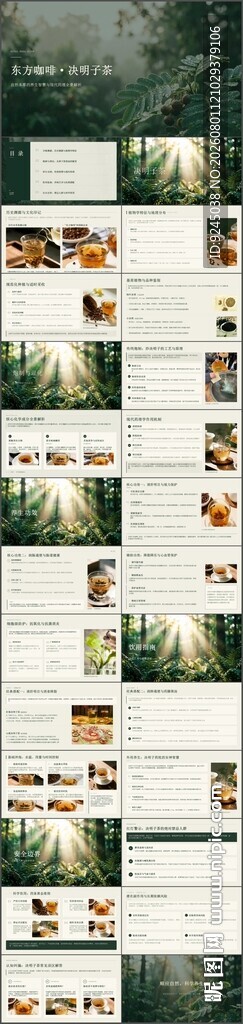 东方草本决明子茶介绍ppt
