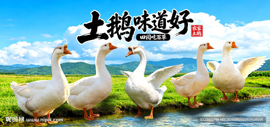 土鹅