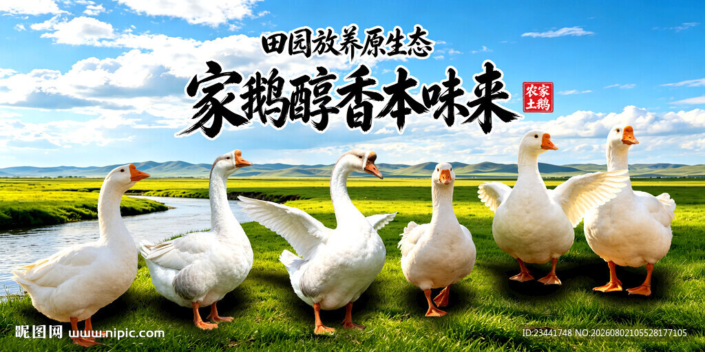农家土鹅