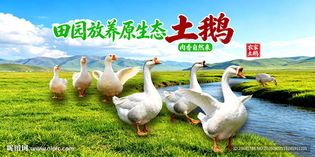 农家土鹅