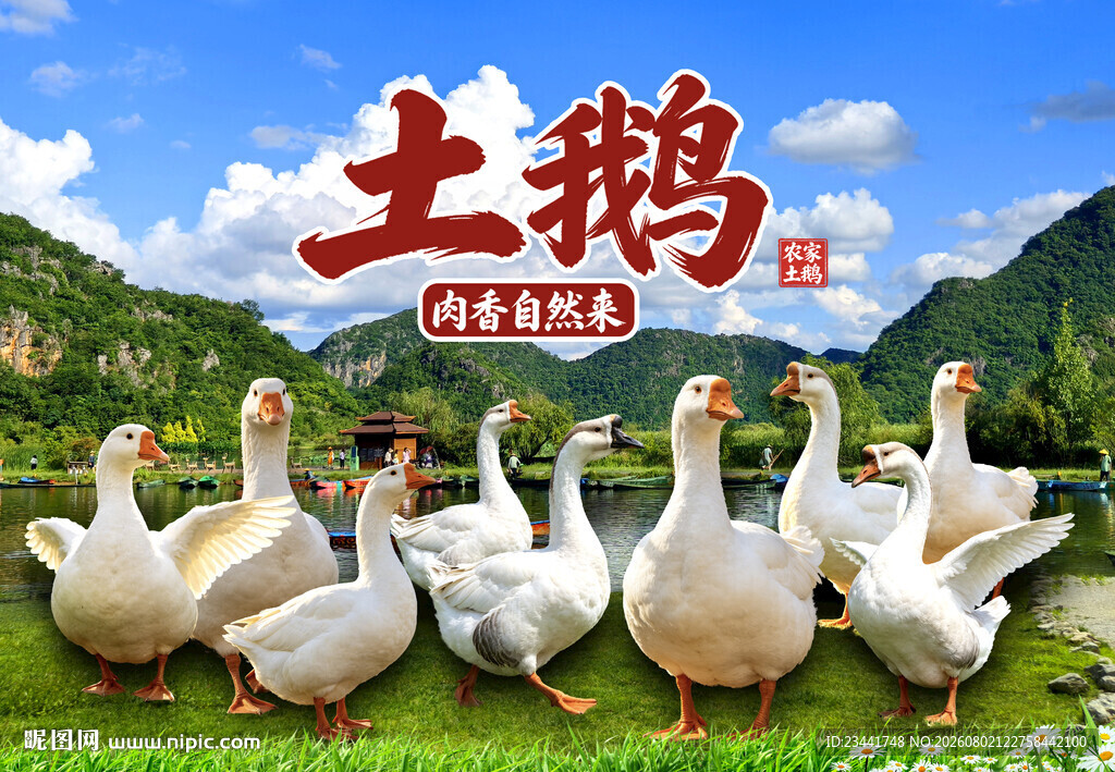 土鹅