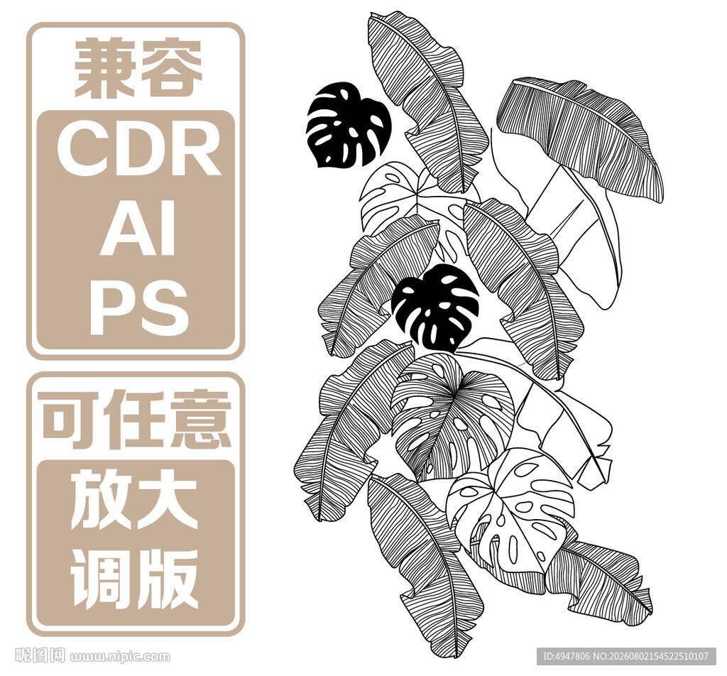 手绘龟背竹植物素材图 矢量