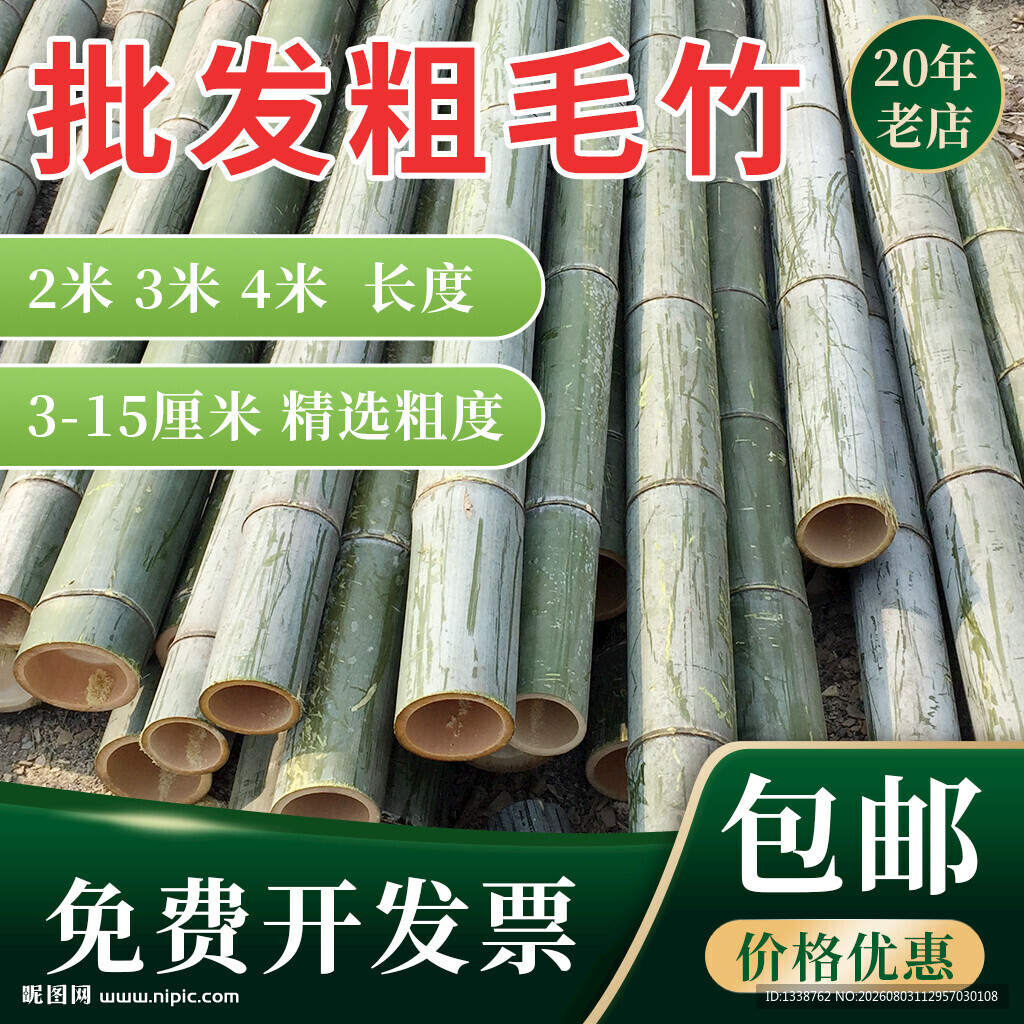竹子主图设计 粗毛竹