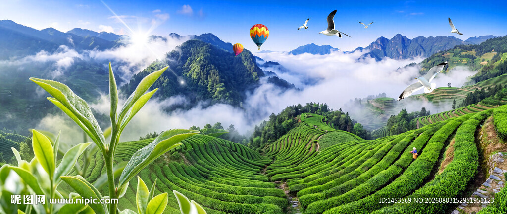 茶山