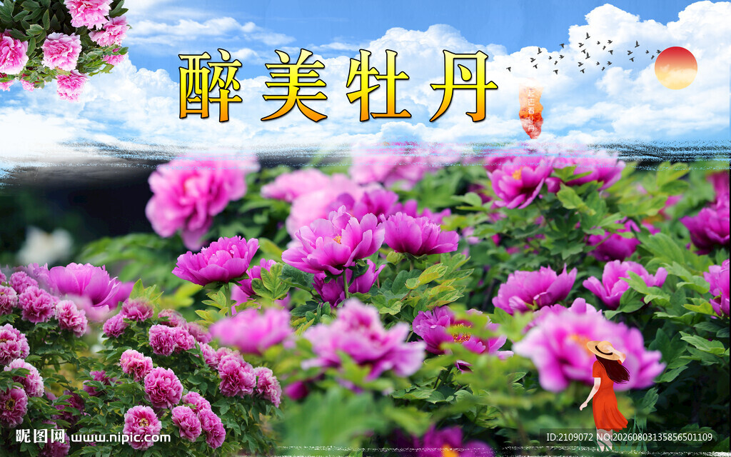 牡丹 