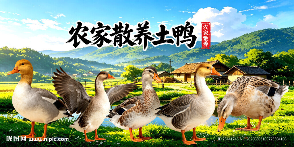 农家土鸭
