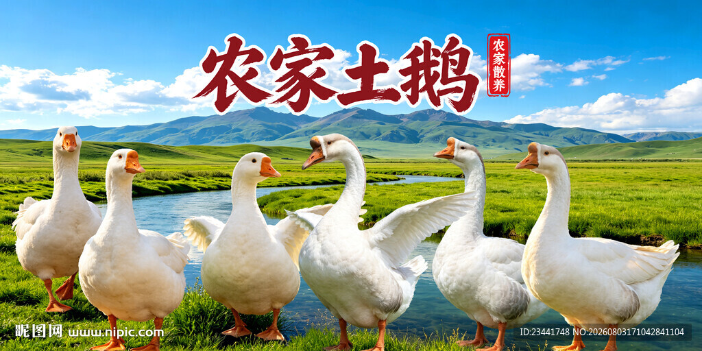 农家土鹅