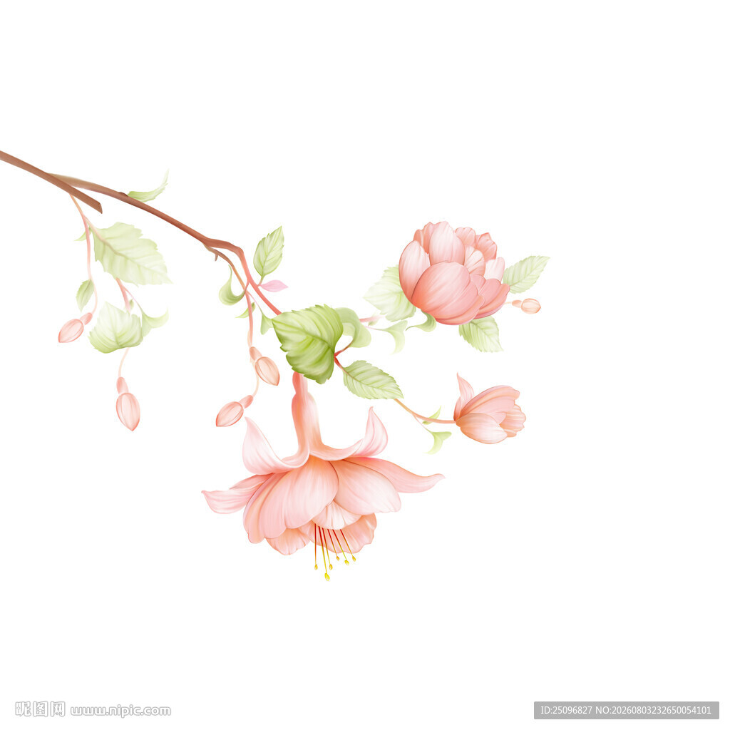 手绘花