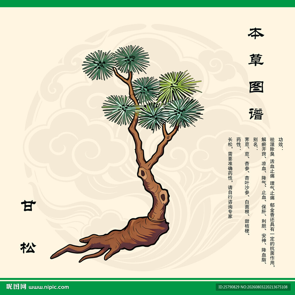 中药甘松
