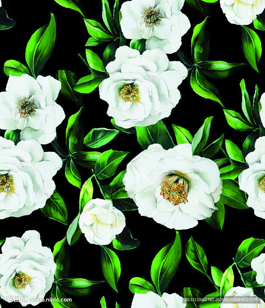 山茶花  数码