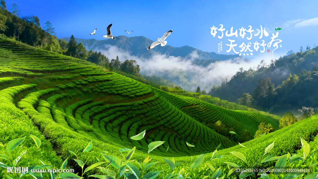 茶山风景画