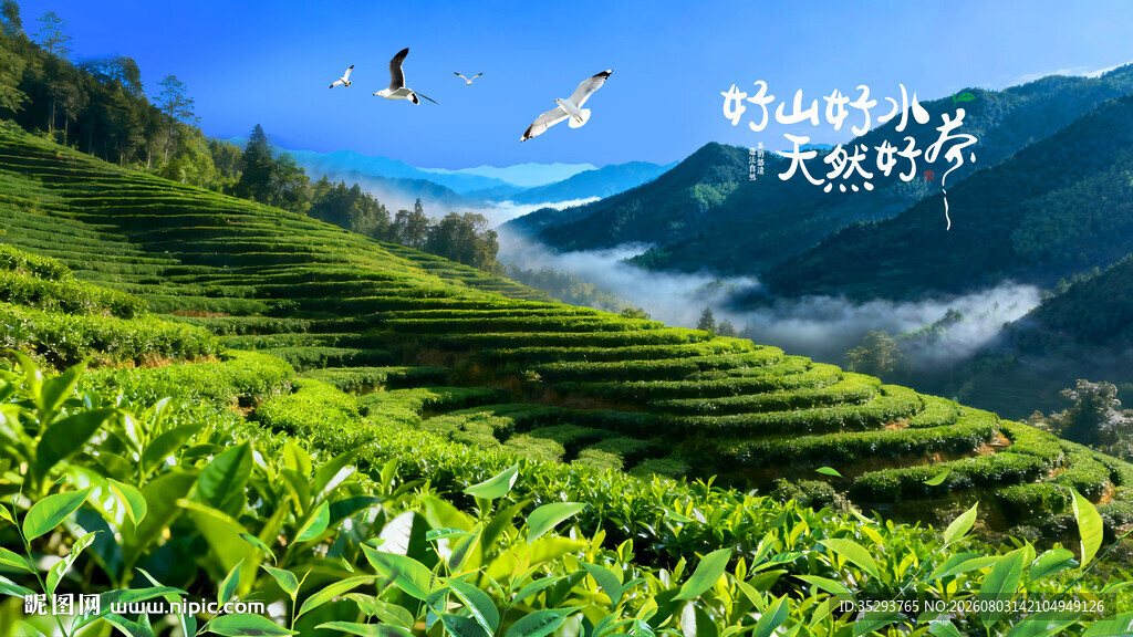 梯田茶山
