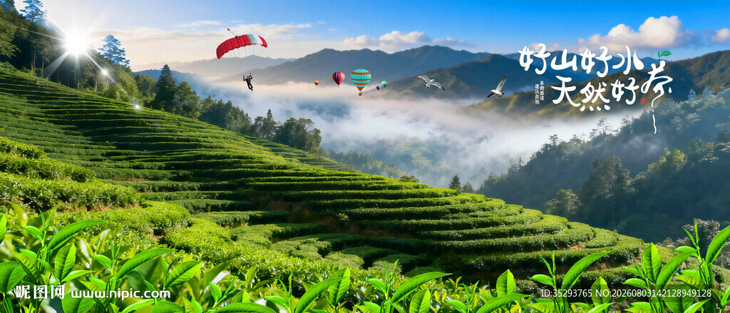 茶山