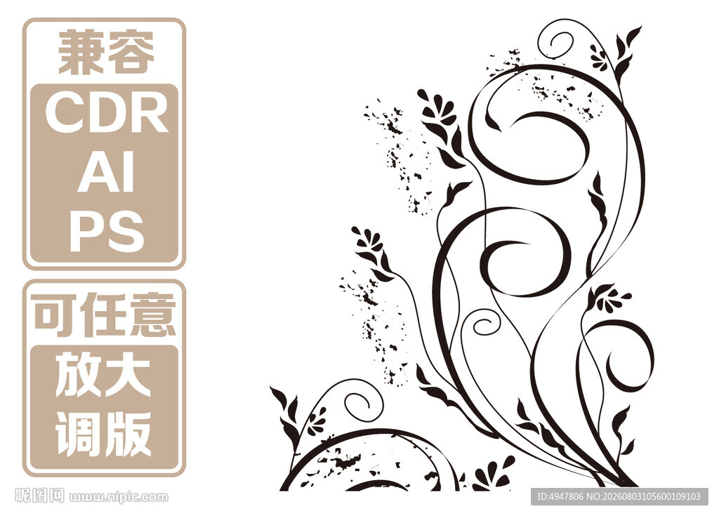 精致花卉藤蔓 矢量