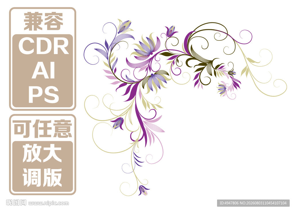 紫色花卉藤蔓 矢量