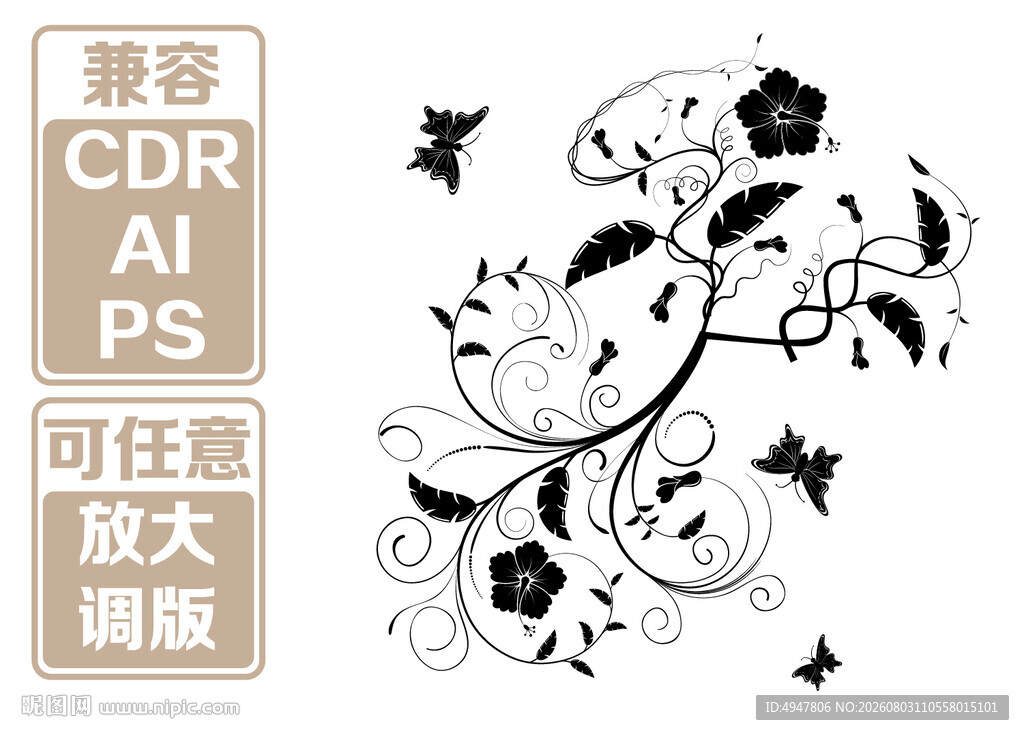 黑白花卉装饰 矢量