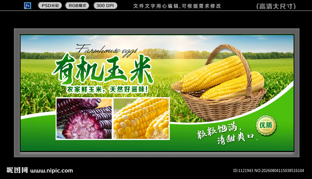  玉米种植