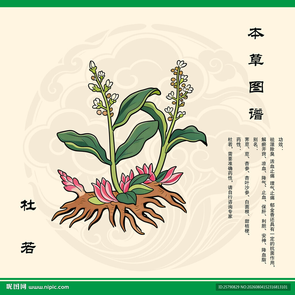 本草杜若中草药杜若