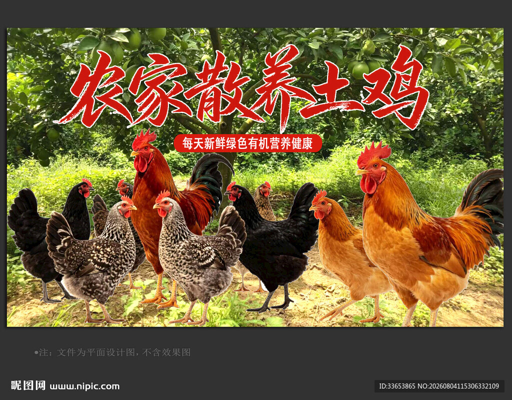 农家土鸡
