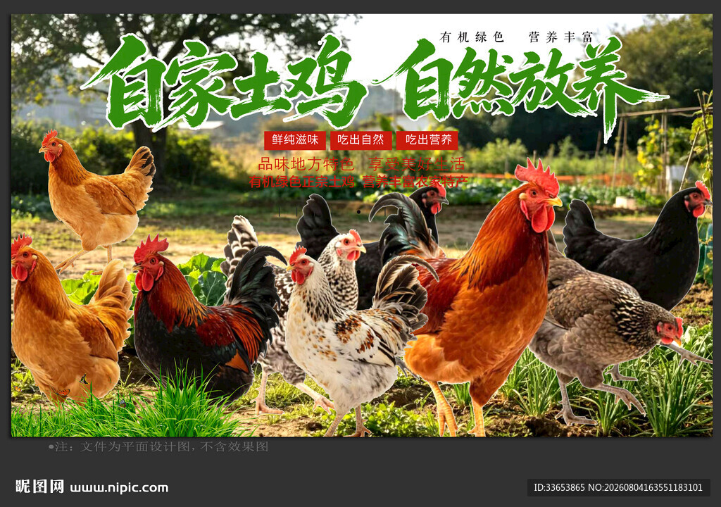 农家土鸡