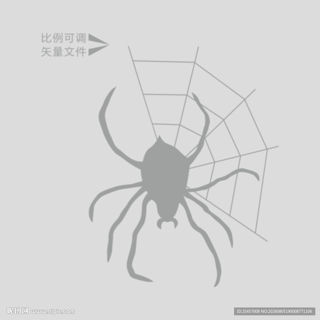 蜘蛛剪影