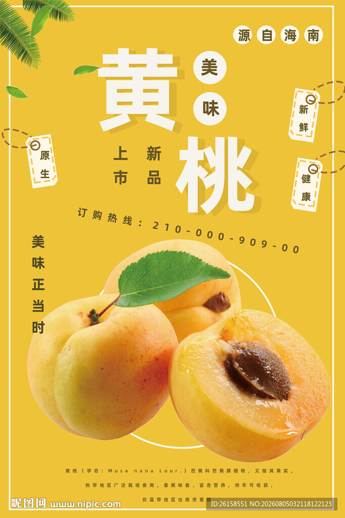 黄桃