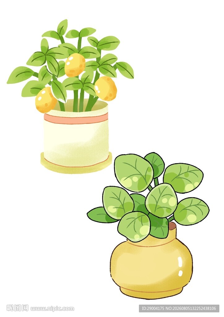 两盆绿植盆栽
