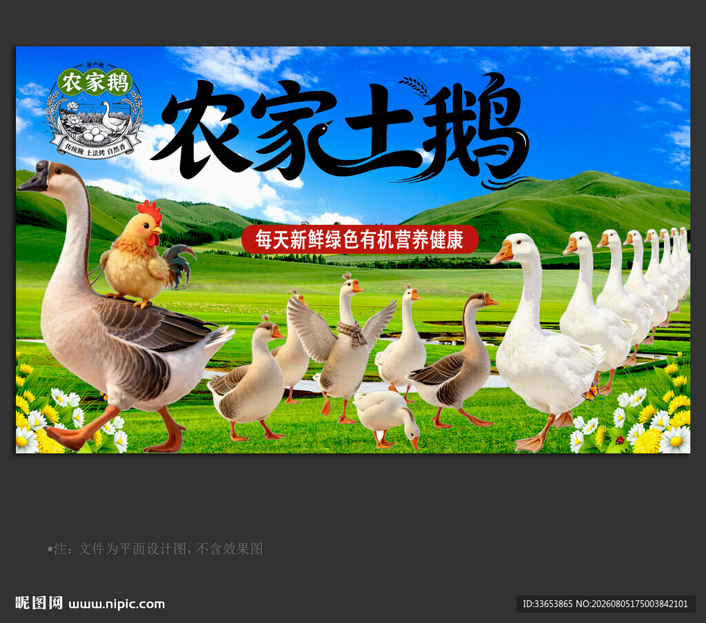 农家土鹅
