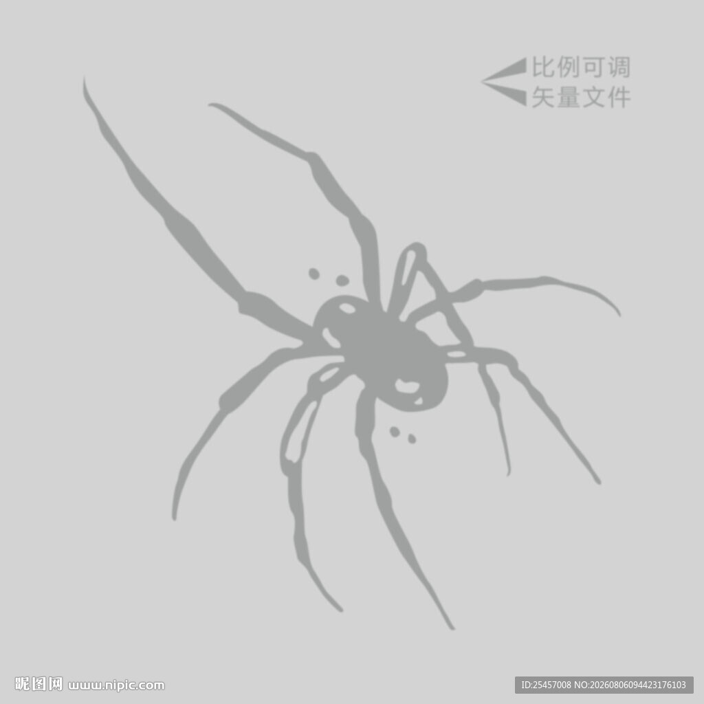 蜘蛛插画